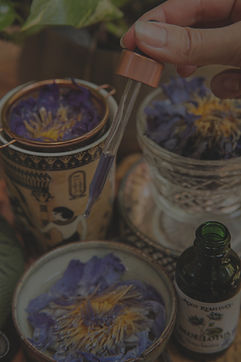 Blue Lotus Tincture3_edited_edited.jpg