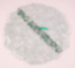 Floral fabric circle with a green floral strip and pink pin on a light pink surface. A green pen is placed nearby.