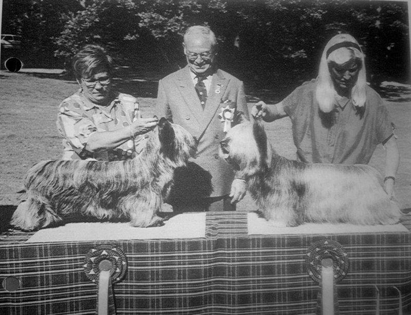Bobo (on the right) BIS in Skye Specialty Show, Judge Mr. Walter Goodman.jpg