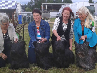 Best In Show 4 Breeder Group