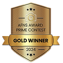 GOLD BADGE 2024.png