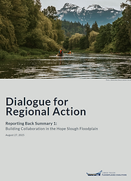 report 1 cover image.png