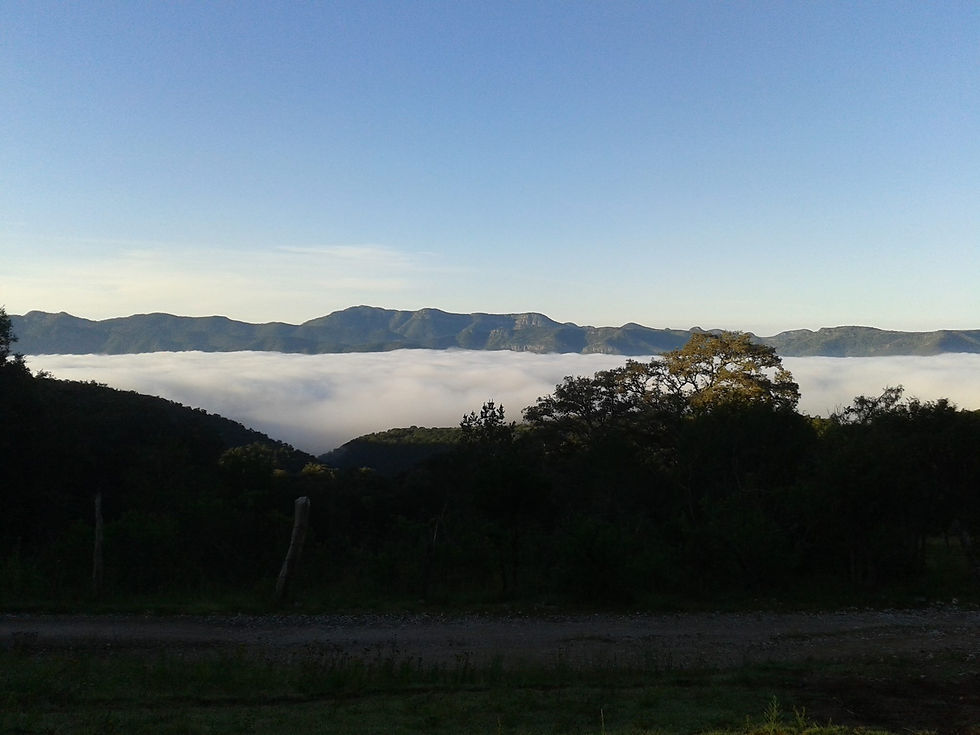 1973189_1467994096797545_8146851274673222370_o