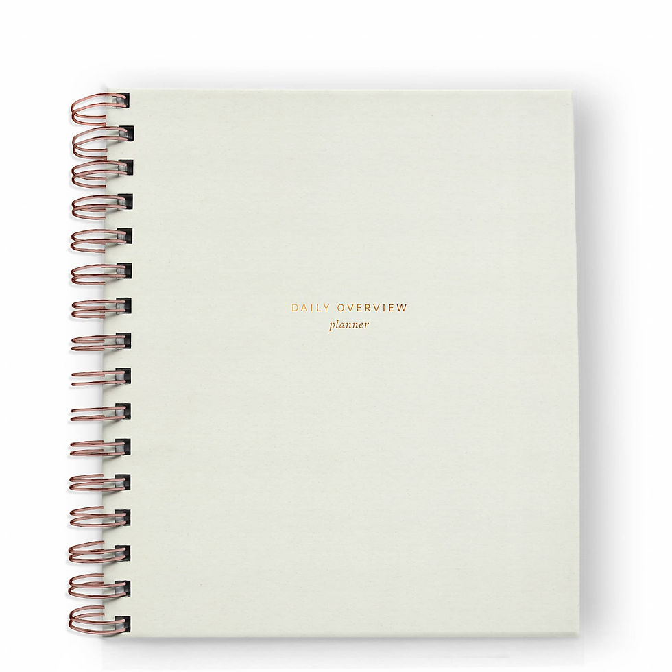 Daily Overview Planner in Chalk White