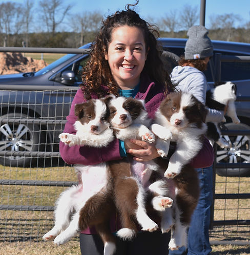 A woman with curly brunette hair beams while lovingly cradling three red and white Border Collie puppies in her arms
