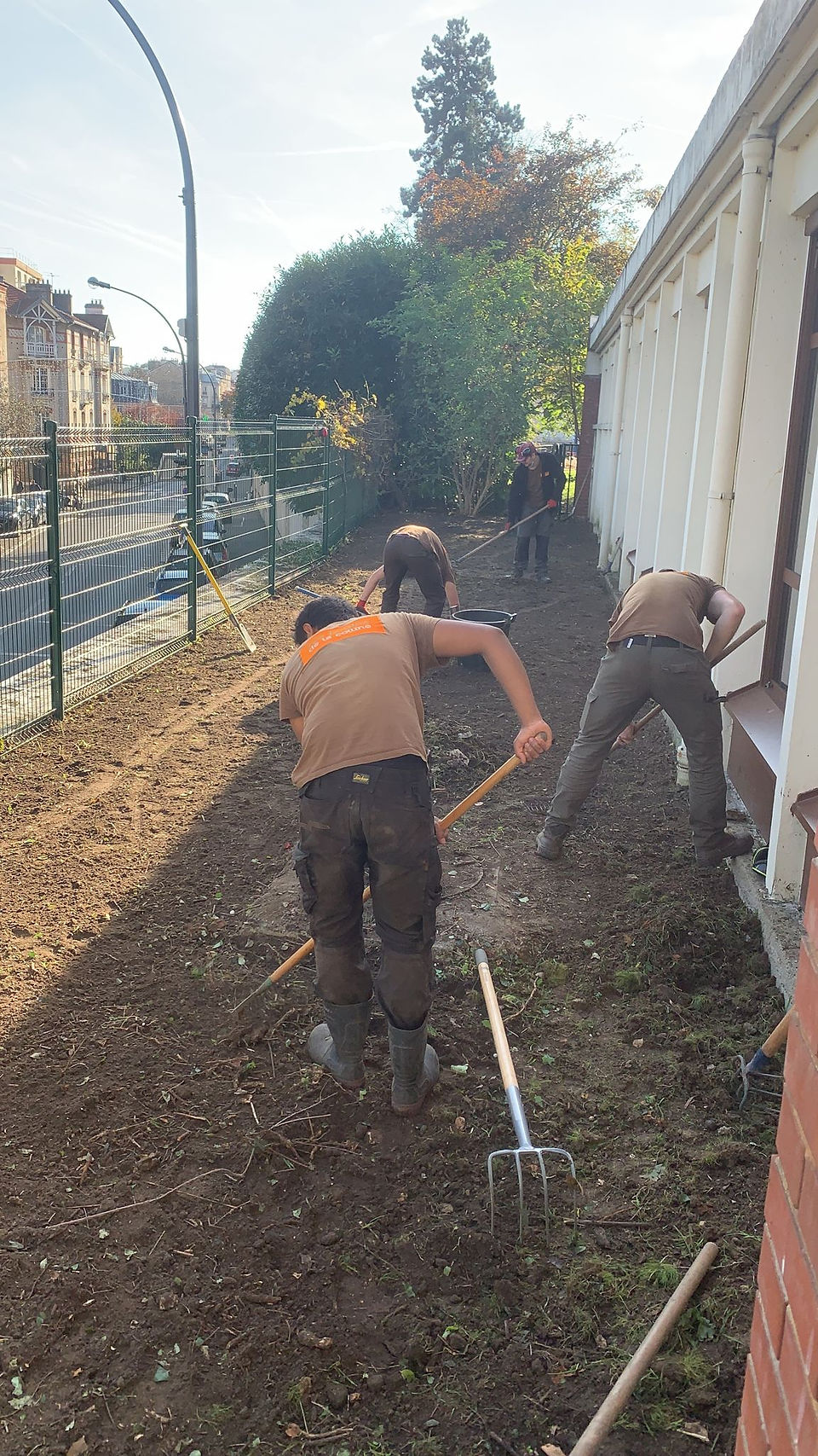 jardinier-elagueur-elagage-meudon-clamart-jardin-hauts-de-seine-jardinage-sevres-vanves