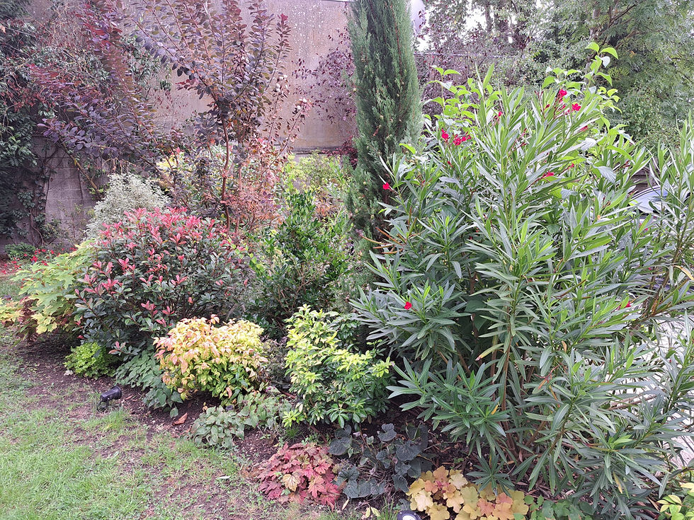 Jardinier Saint Cloud