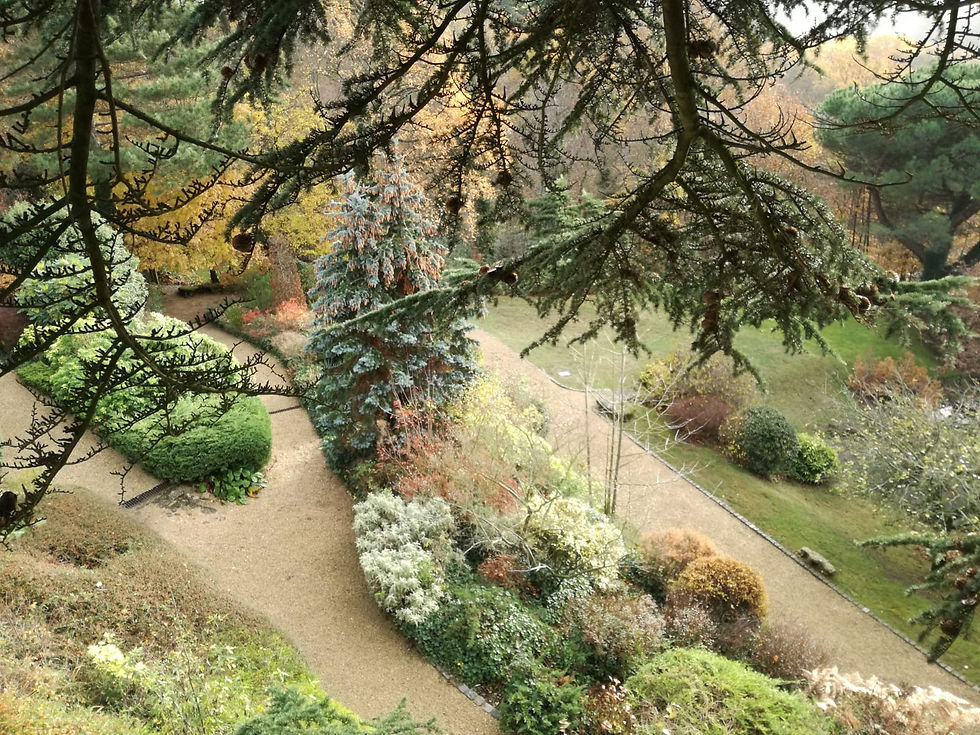 Parc paysagé au Plessis Robinson