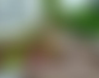 Nous recrutons un(e) jardinier(ère) avec expérience