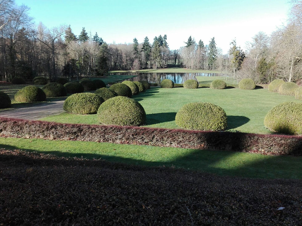Parc paysagé