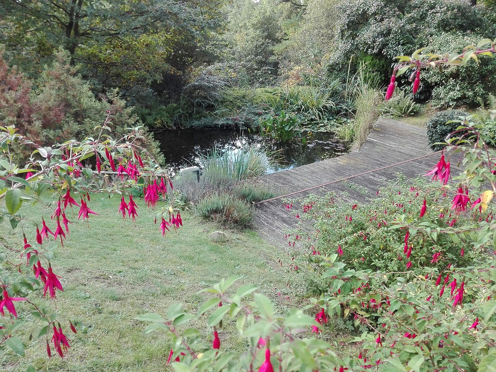 Jardin Meudon