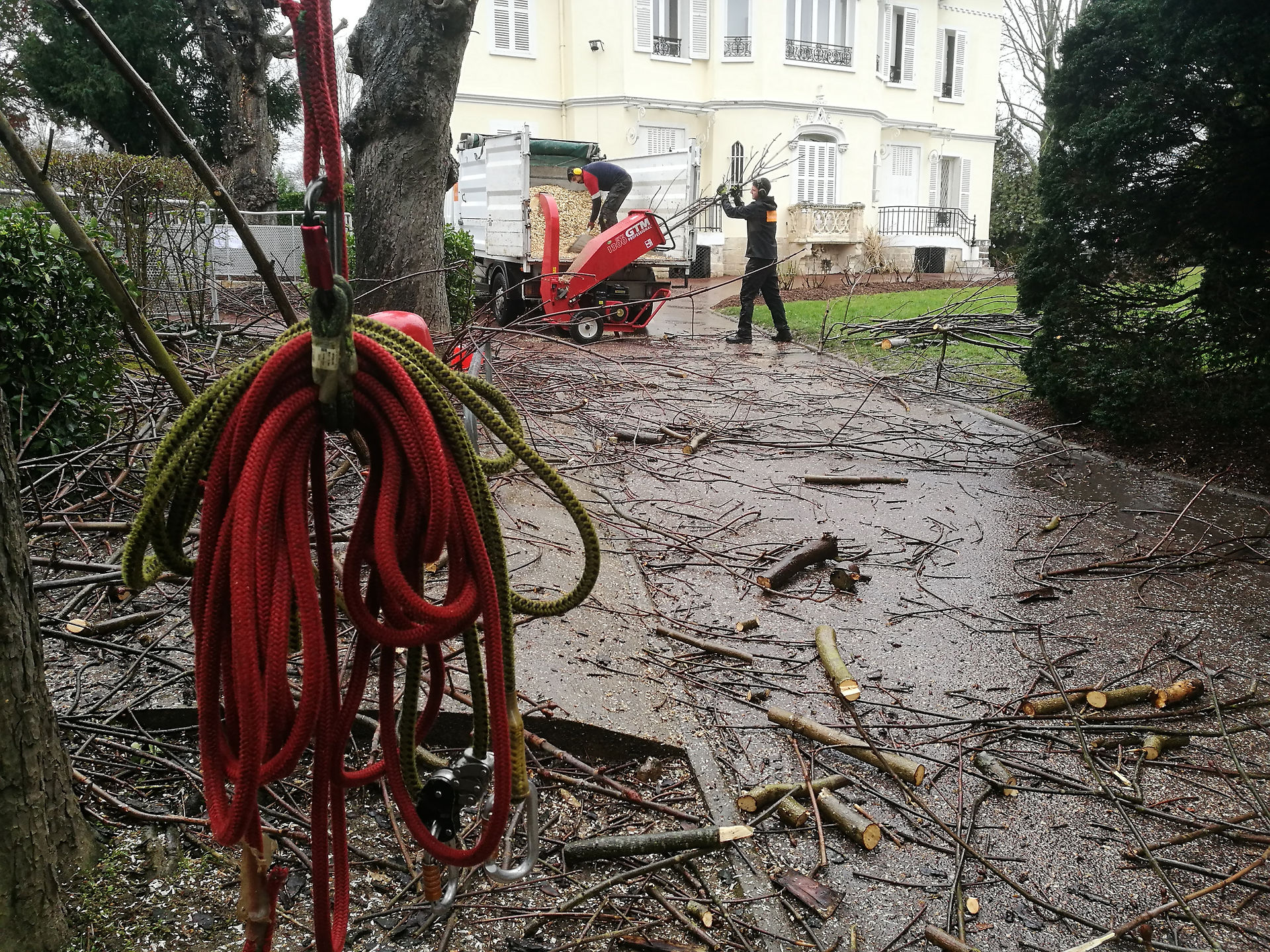 elagueur-elagage-elaguer-jardinier-paysagiste-meudon-clamart-sevres-boulogne-billancourt-hauts-de-seine-paris