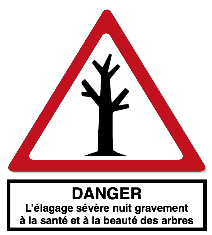 Elagage Elagueur Meudon Clamart Sèvres Boulogne
