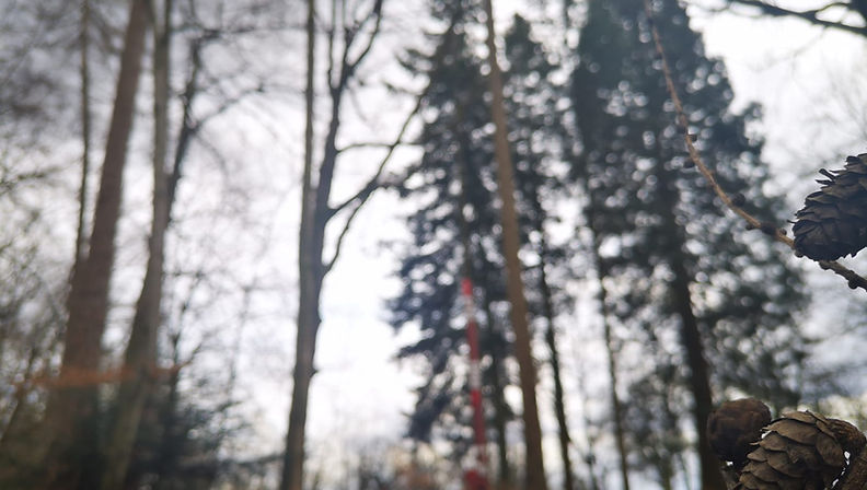 Alle Infos zum Ausflugsziel