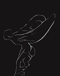 we've got you covered (1440 × 335px) (48