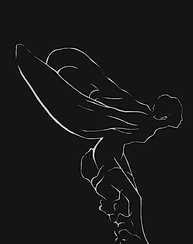 we've got you covered (1440 × 335px) (48 × 24in) (48 × 24in) (72 × 24in) (48 × 24in)-2.png