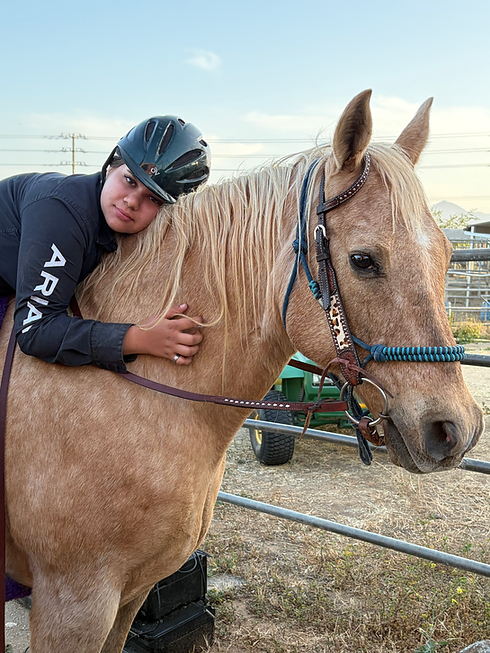 Champ Mia Hugs