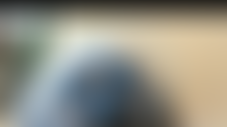 Top Tips for Bringing Rover Home