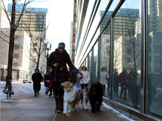 You Want CEUs? We Can Help You With That!