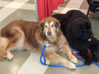 Five Hundred and Three