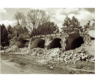 rujna alberovice-u9043.png
