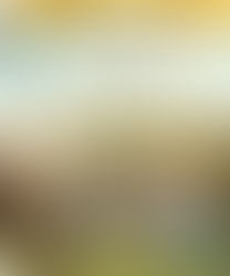 Finding Fanny 720p
