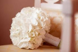 Сладкий Май