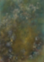 Forest Echo I. 2021.H23cm x W16.5cm (framed H45cm x W39cm)