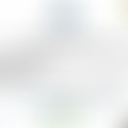 GASTRONOMIA MOLECULAR: TEORIAS E PRÁTICAS