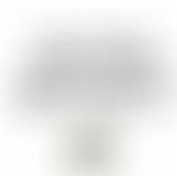 Você Quer Participar do PET?