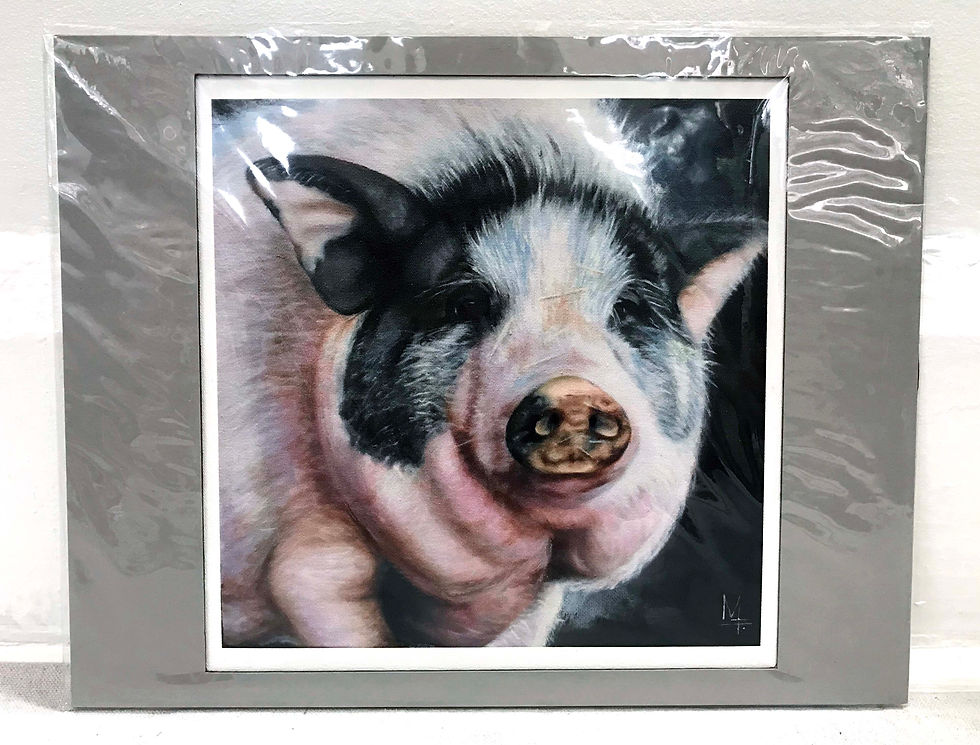 Thumbnail: "Sexy Pig" - PRINT