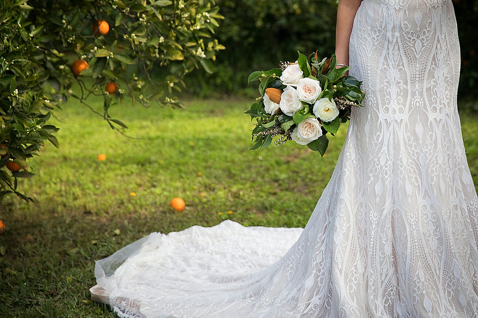 Among the Orange Grove 