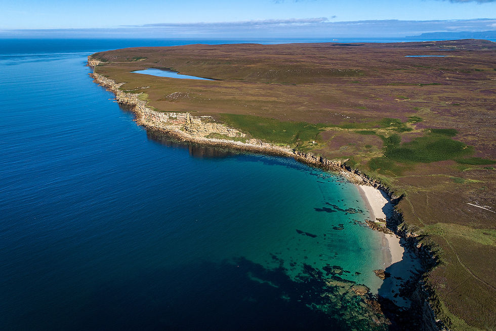 Dunnet Estate in summer