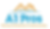 A1 Pros logo