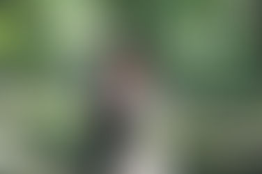 08.15.15 Ben + Emily