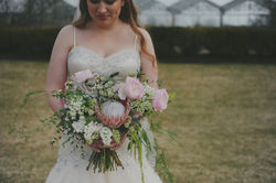 Amy Carroll Photography