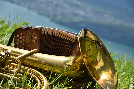 Örgeli mit Horn im Gras.JPG