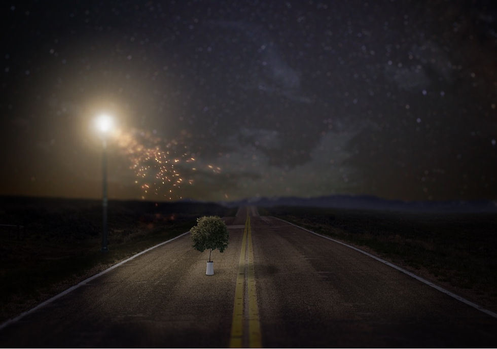 light transfer