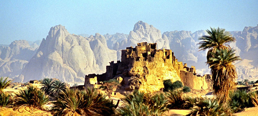 kanem-niger-djado oasis-ruines2.jpg