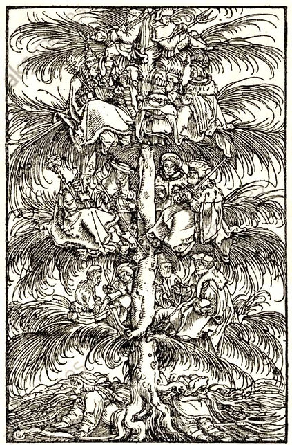 petrarque-maitre de-arbre classes social