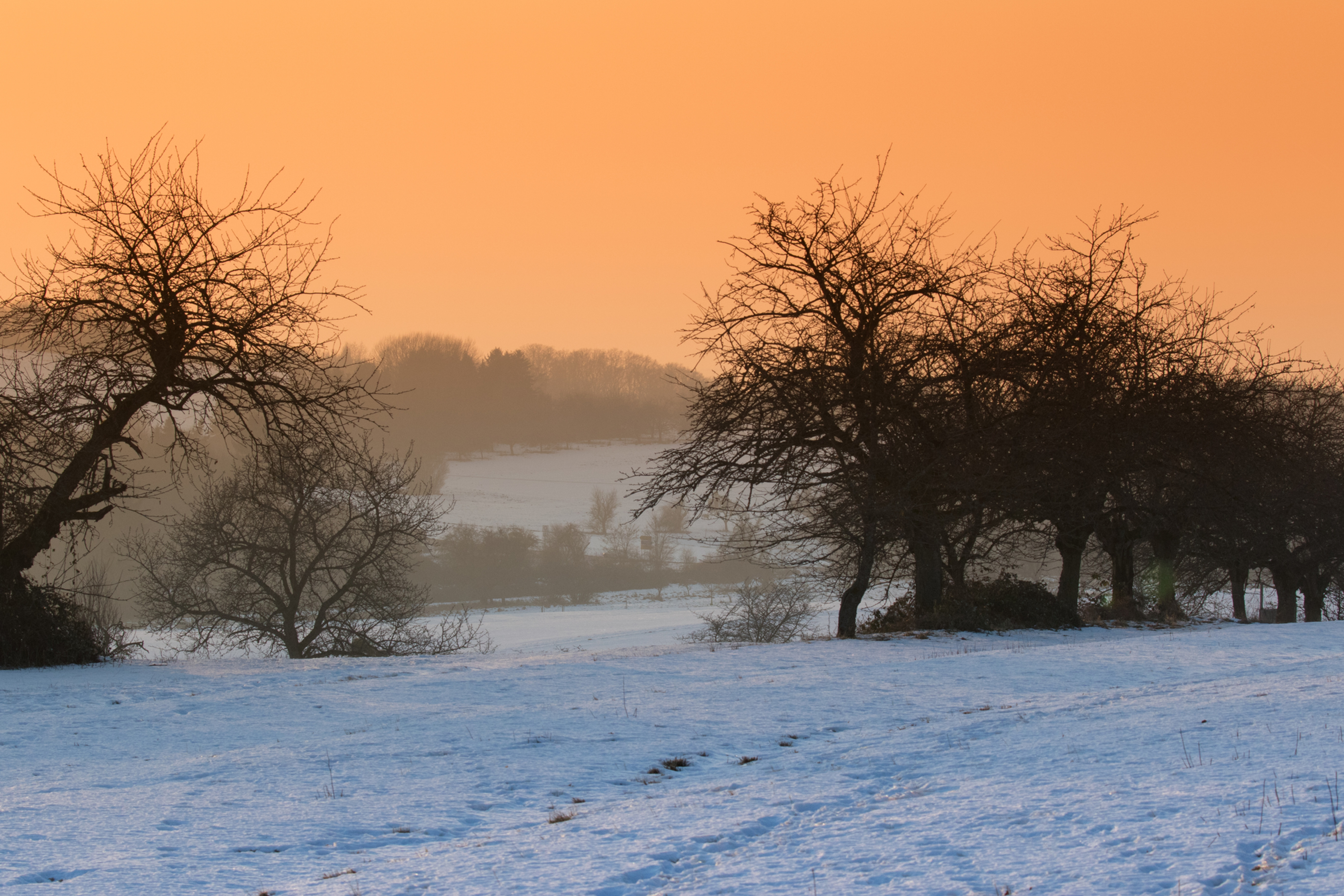 Winterlandschaft bei Niedernhausen/Hessen