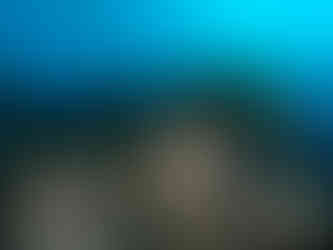 Voyage plongée sous-marine à Bonaire