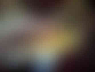 Voyage plongée poisson bonaire 