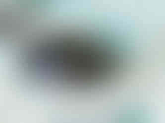 Voyage plongée poisson bonaire 