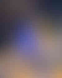 Voyage plongée poisson bonaire 