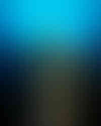 Voyage plongée sous-marine à Bonaire