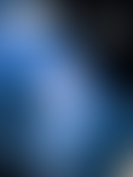 Ponte du calmar de récif Sepioteuthis sepioidea