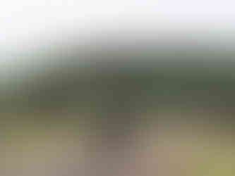 Voyage plongée sous-marine à Bonaire