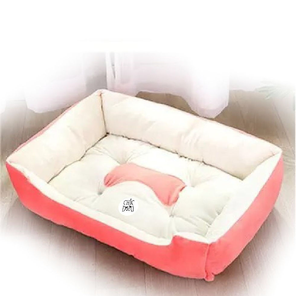 Miniatura: Cama lavable para perro