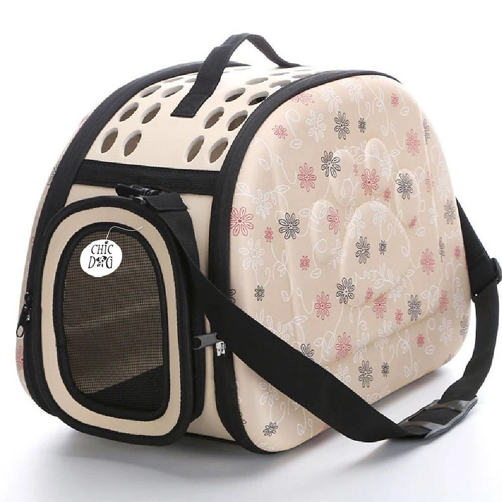 Miniatura: Porta mascotas